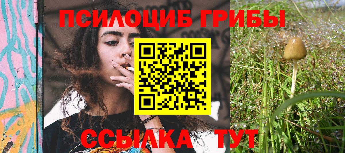 Псилоцибиновые грибы Magic Shrooms Павлово
