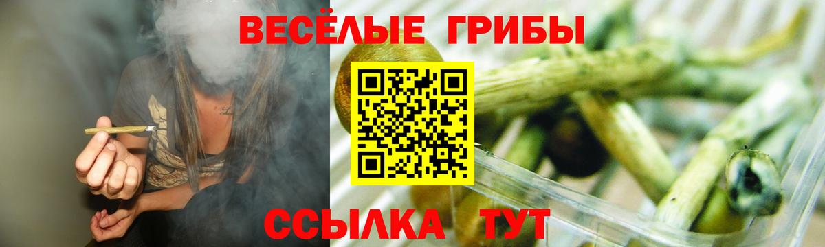 Павлово  Псилоцибиновые грибы мицелий  Вход с VPN  Галлюциногенные грибы мухоморы 